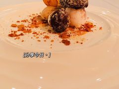 -蝶舍·MAISON PAPILLON