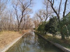 -洛阳市隋唐城遗址植物园