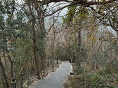 -紫金山山顶公园