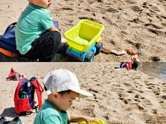 -广东惠东海龟国家级自然保护区