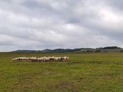 -御道口草原森林风景区