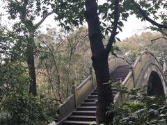 -猫的天空之城概念书店(杭州南宋御街店)