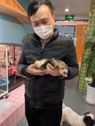 -Moni星球萌宠·小马宝莉·灵蛇·高端高阶全萌宠互动体验俱乐部(红豆国际广场店)