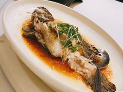 -旺顺阁海鲜广场(亚运村店)