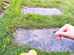 -杭州师范大学(下沙校区)