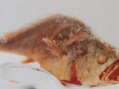 -山东宾馆·齐鲁苑餐厅