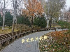 -北极寺公园