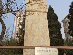 -团结湖公园