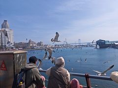 -大连圣亚海洋世界