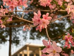 -广东工业大学(大学城校区)