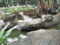 -黄埔荔枝公园