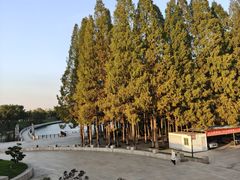 -紫金山山顶公园