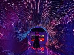 -正佳自然科学博物馆