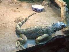 -上海昆虫博物馆