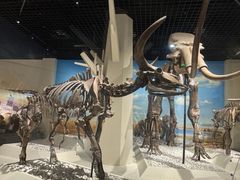 -国家自然博物馆