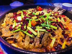 -老板恋上鱼(恒隆广场店)