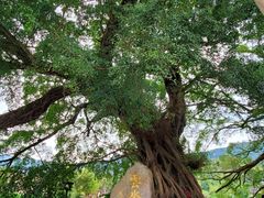 -南靖田螺坑土楼群景区