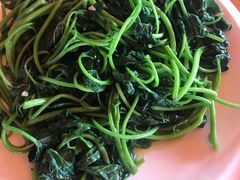 -蓝湾碧波·老字号·疍家非遗海上餐厅