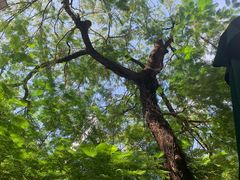 -星巴克(深圳侨城街店)