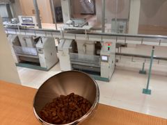 -歌斐颂巧克力小镇