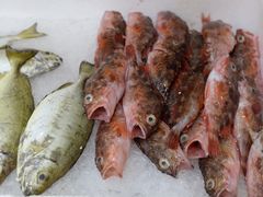 -龙宫海鲜楼(长乐漳港店)