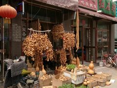 -中环花鸟鱼虫市场