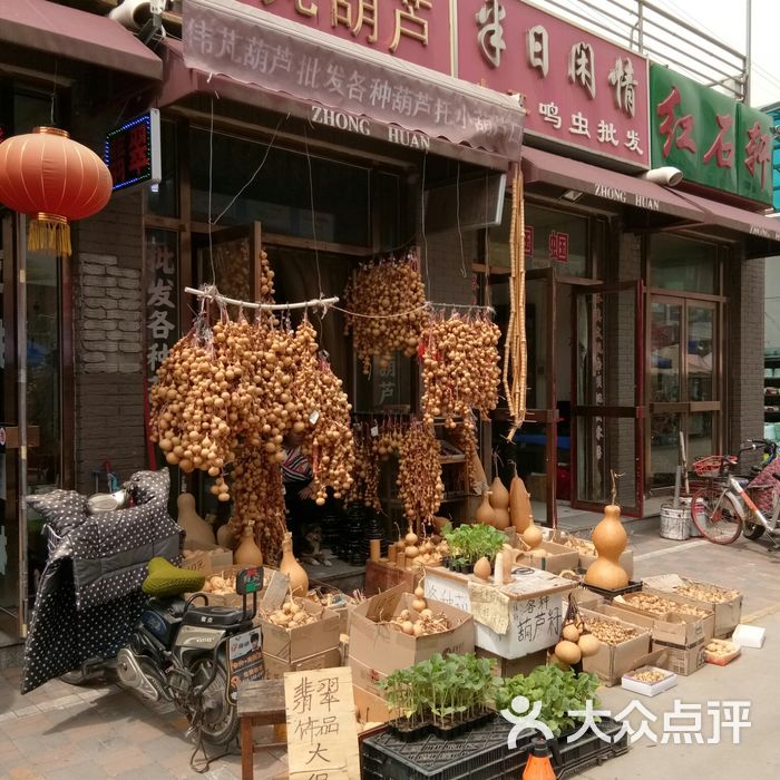 天津中环花鸟市场夜市图片