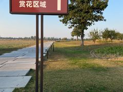 -汉长安城未央宫国家考古遗址公园