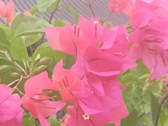 -西湖国宾馆·紫薇厅