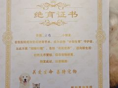 -博特宠物医院24h犬猫全科.骨科·异宠
