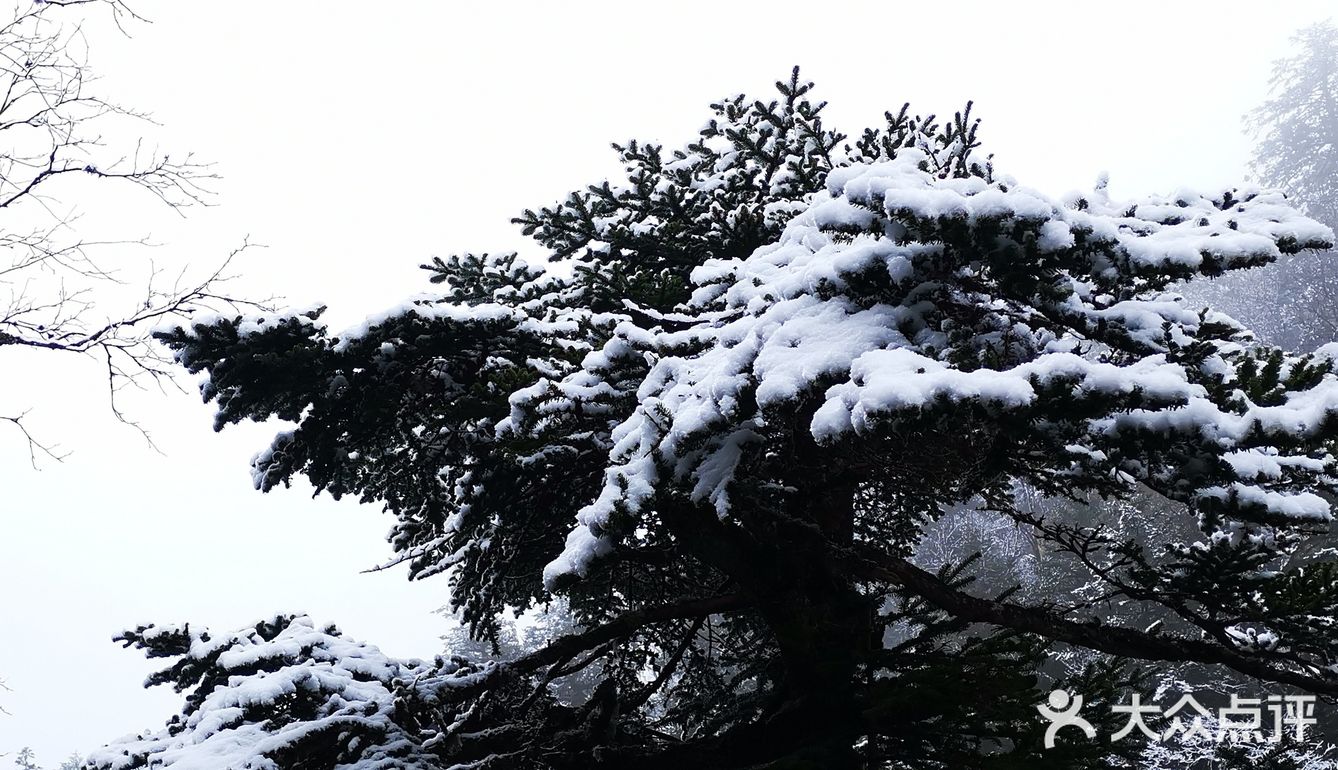 木格措雪景图片