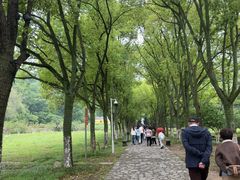 -华阳洞风景区