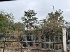 -玫瑰海岸文化旅游度假区