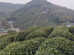 -十里琅珰