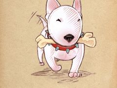 -厦门高崎国际机场-T3航站楼