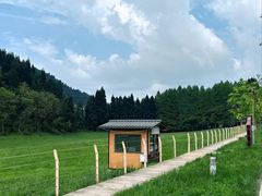 -武陵山森林公园