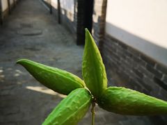 -河间府署