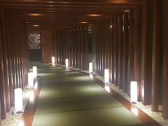 -重庆南山海昌汤都