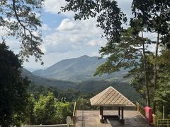 -海南霸王岭国家森林公园