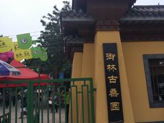 -御林古桑园