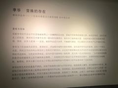 -成都当代美术馆