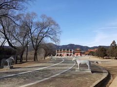 -清东陵