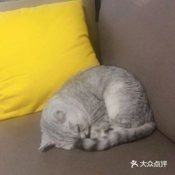 SHARE下我家“广子” 满足各位️吸