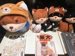 -柴务处·柴犬主题狗咖