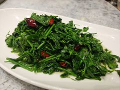 蒜泥野生甜菜-外滩·云南人家(昆明旗舰店)