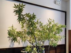 -阿嬷手作(南宁百盛印象城店)