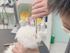 -中农大我爱我爱动物医院·核磁CT·猫病·24小时夜诊中心(石佛营店)