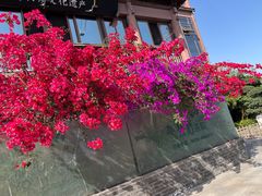 -酒城大贰火锅旗舰店