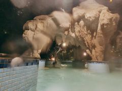 -瑞阁温泉酒店温泉中心