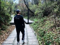 -五营红松林海景区